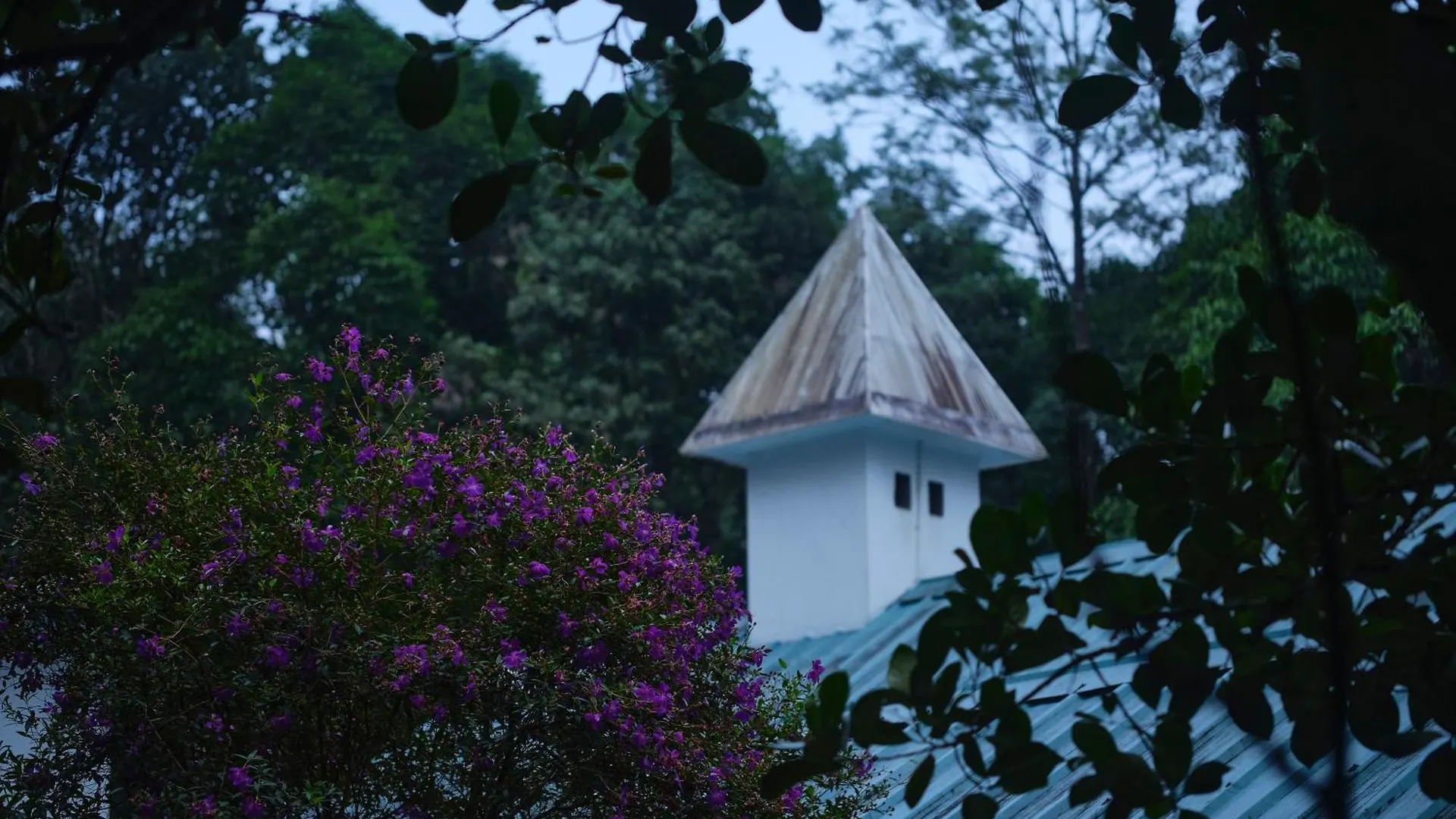 Reen Resorts Aanavilasam Plantation Thekkady Kwatera prywatna