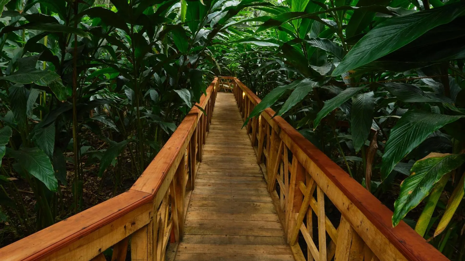 Kwatera prywatna Reen Resorts Aanavilasam Plantation Thekkady